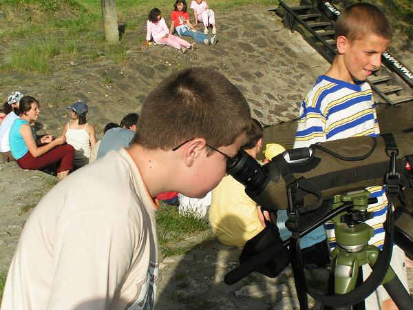 PICT1003 (web)